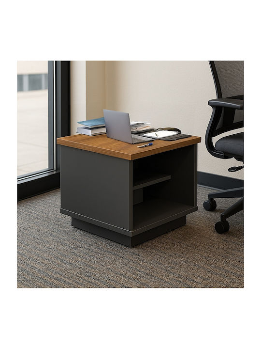 Rectangular Side Table Oscar Made of Solid Walnut Wood Anthracite Brown W60xL60xH42cm