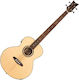 Ortega 4-String Acoustic Bass