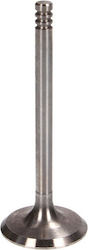 Freccia Intake Valve 36x7x95.5 Audi 80 B4 Seat Cordoba Ibiza Ii Inca Toledo I Skoda Felicia I Ii Vw Caddy Ii Golf Iii Passat B3/b4 Polo 1.9d