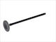 Freccia Intake Valve