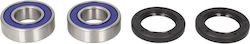 All Balls Wheel Bearing Kit