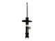 Bilstein Shock Absorber