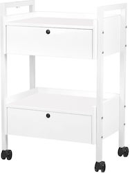 Giovanni Hair Salon Maintenance Cart