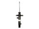 Bilstein Shock Absorber