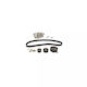 Water Pump Set + Timing Belt Ford Escort Vi Cabriolet All Contitech Ct728wp1