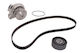 Water Pump Set + Ina Timing Belt