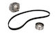 Water Pump Set + Ina Timing Belt
