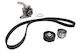 Water Pump Set + Skf Timing Belt