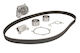 Water Pump Set + Skf Timing Belt