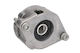 Tensioner Ina Drive Belt