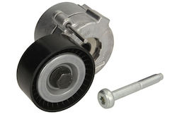 Tensioner Ina Drive Belt
