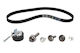 Ina Timing Belt Set
