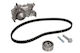 Set Curea De Distribuție Pompa Apă Dacia Renault Kangoo Megane I 1.4 01.96 96 Dinți Lățime 17 Mm INA