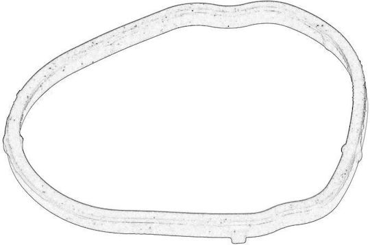 Oil Filter Seal Fiat Ducato 2.0d 06.11 Engine Lubrication Pipe Oe Fiat