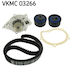 Water Pump Set + Skf Timing Belt