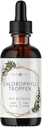 Bärbel Drexel Χλωροφύλλη 100ml