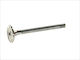 Freccia Exhaust Valve