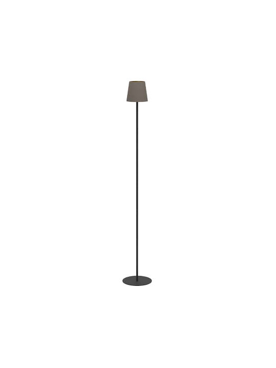 Eglo Floor Lamp