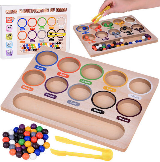 Jokomisiada Sorter Learning Colors Montessori Lernspiel Wissen aus Holz