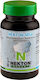 Nekton Msa 80g Highly Absorbable Minerals Parrots Reptiles Amphibians