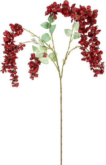 Burgunderrote Bodenblume 112 cm