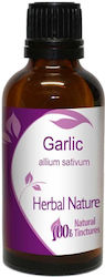 Σκόρδο Βάμμα Garlic 50ml Nature & Body Σκόρδο Βάμμα Garlic 50ml Nature & Body