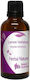 Zitronenverbene-Extrakt 50ml Natur & Körper