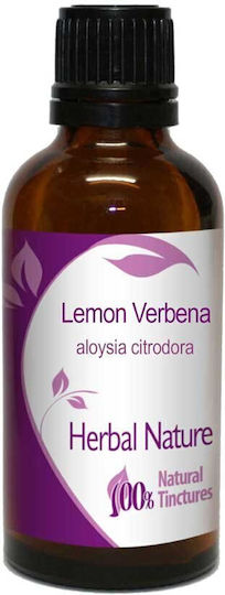 Zitronenverbene-Extrakt 50ml Natur & Körper