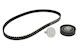 Ina Timing Belt Set