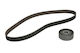 Ina Timing Belt Set