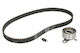 Skf Timing Belt Set