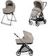 Inglesina Electa Duo 2025 Adjustable 2 in 1 Bab...