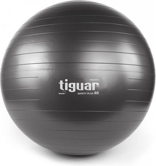 Tiguar Ball Pilates 65cm in Gray Color