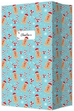 First Steps Christmas Box for Gift Light Blue 36x24x70cm.