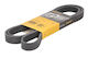 Contitech V-belt