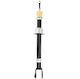 Bilstein Shock Absorber