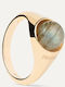 P D Paola Ring with Stones made of Silver Gold Plated