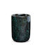 AWD Interior Cupa Ei Negru Verde