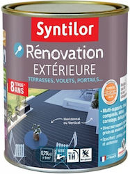 Syntilor Paint for Faux Finishes