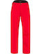 Head Summit 821622 Pantaloni de schi și snowboard pentru bărbați Ski & Snowboard Roșu