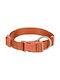 Trixie Premium Κολάρο Σκύλου σε Πορτοκαλί χρώμα Large / XLarge 25mm