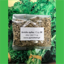 Agrosmart Seeds Endive (Cichorium) 500gr