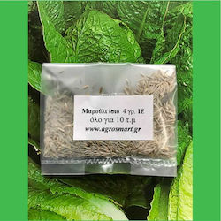 Agrosmart Seeds Lettuce 500gr AGR-MAR003