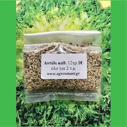 Agrosmart Seeds Endive (Cichorium) 500gr