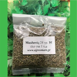 Agrosmart Seeds Parsley 100gr AGR-MAID002