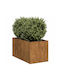 vidaXL Planter Box 40x40cm Coffee 860737