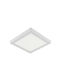 Arina-12 Led Surface Light 12w 840lm White Lighting 4200k