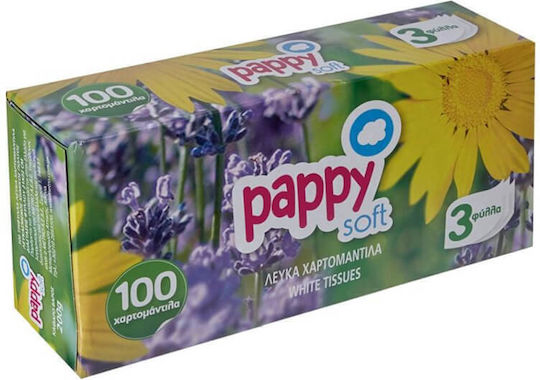 Pappy Home 100 Hand towels 3 Ply (1 Box)