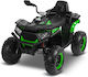 Kinder Elektromotorrad 12V Grüne Für 3+ Jahre