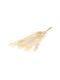 Dried Plant Ruscus Preserved Bleached White Fankon Flowers